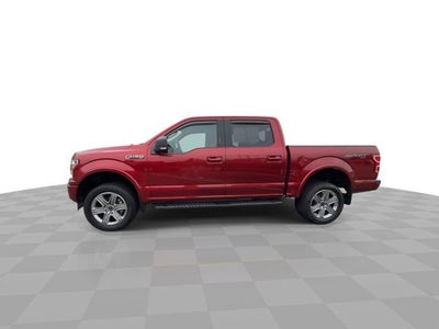 2019 Ford F-150 XL