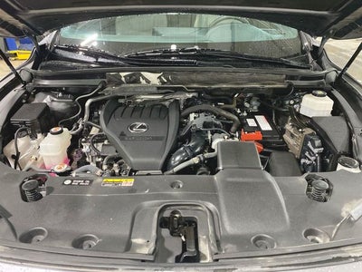 2023 Lexus RX 350 Luxury